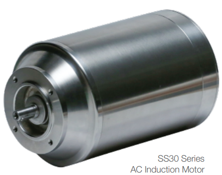 SS30 Series AC Induction Motor