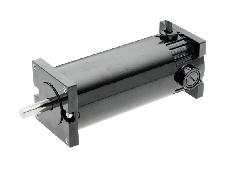  203 Series Bison PMDC Motor