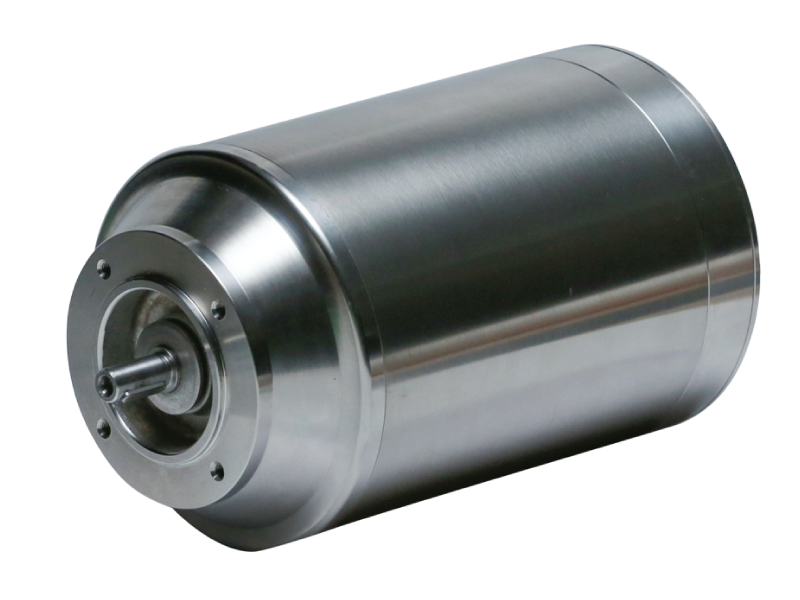 Bison SS30 Series Washdown Motor