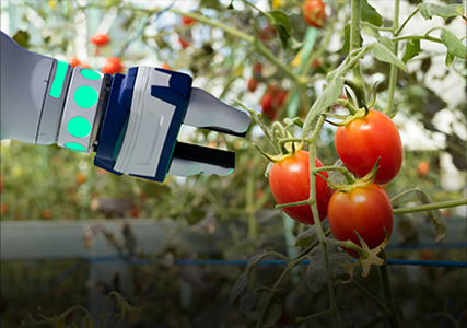 Ag market farm automation application