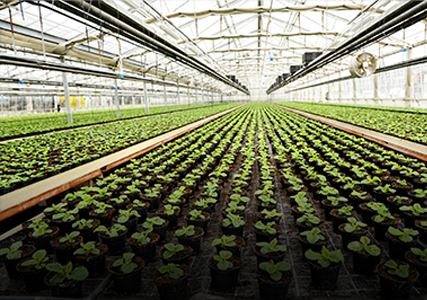 greenhouses ag market application 