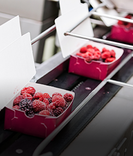 Food and beverage packaging