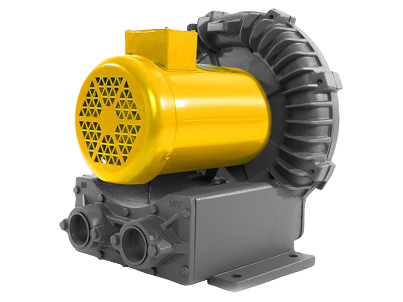 chem tough-rotron regenerative blower