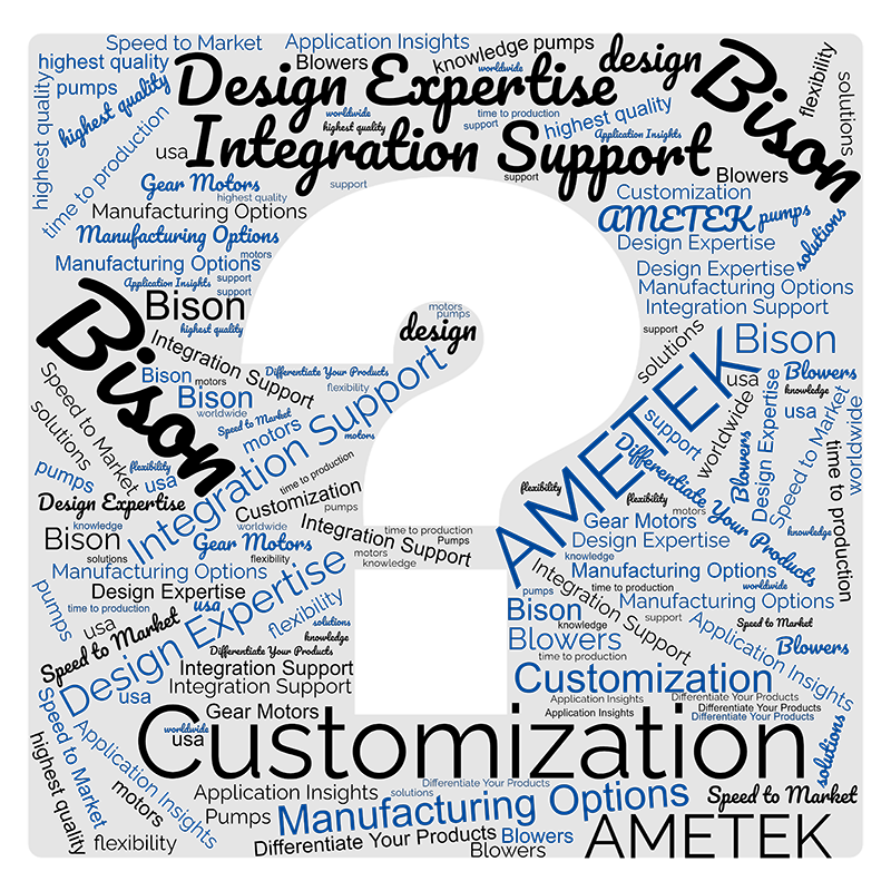 Why Bison Word Cloud